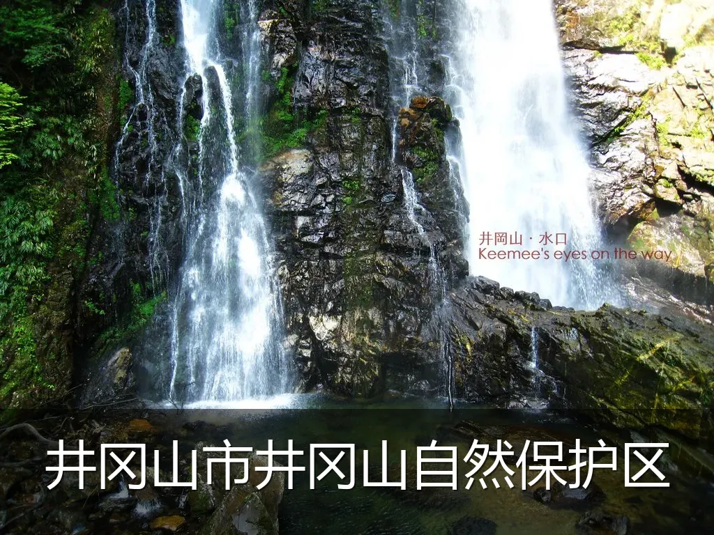 井冈山市井冈山自然保护区