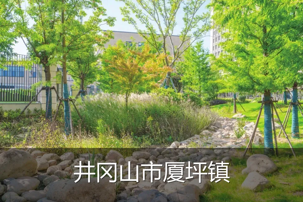 井冈山市厦坪镇