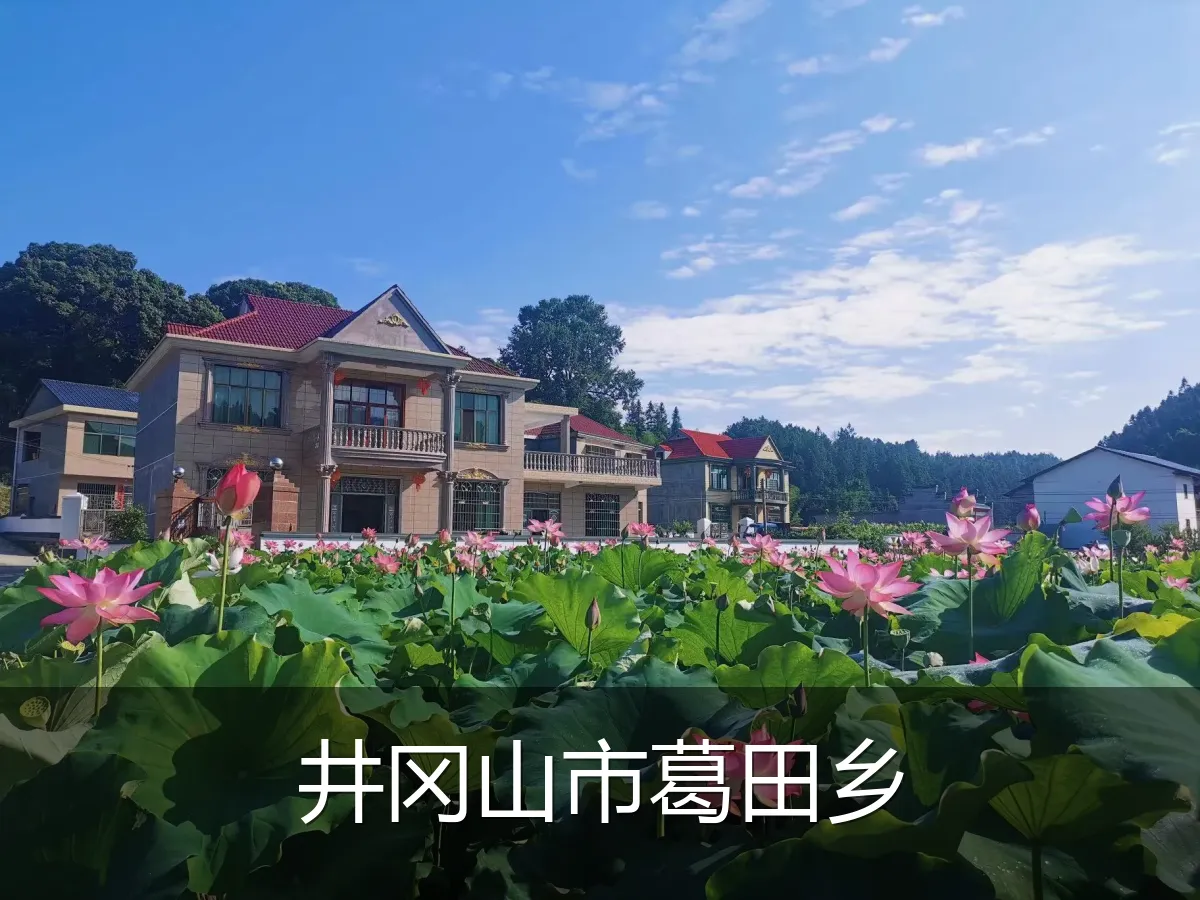 井冈山市葛田乡